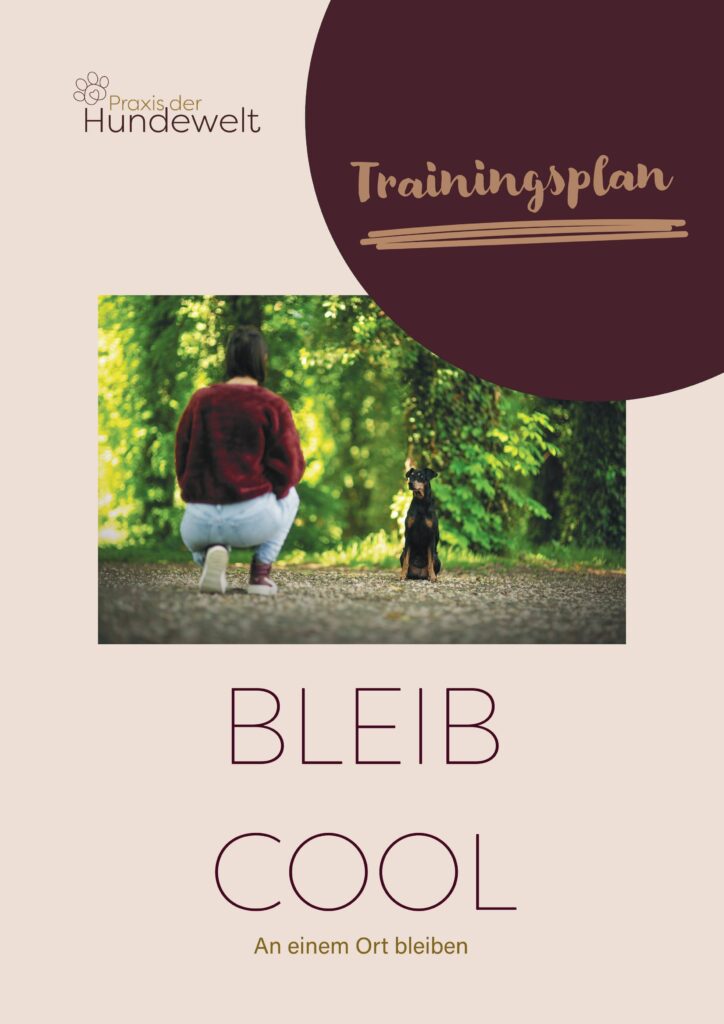 Buch_Bleib_Cool