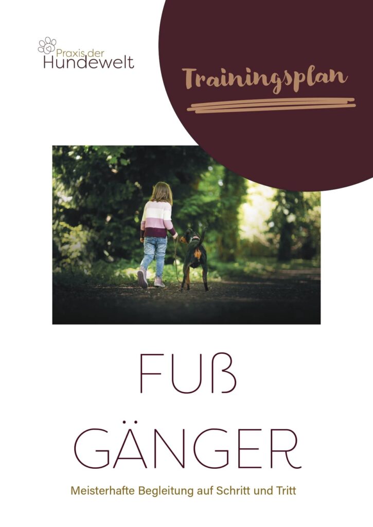 Buch_Fussgänger_1