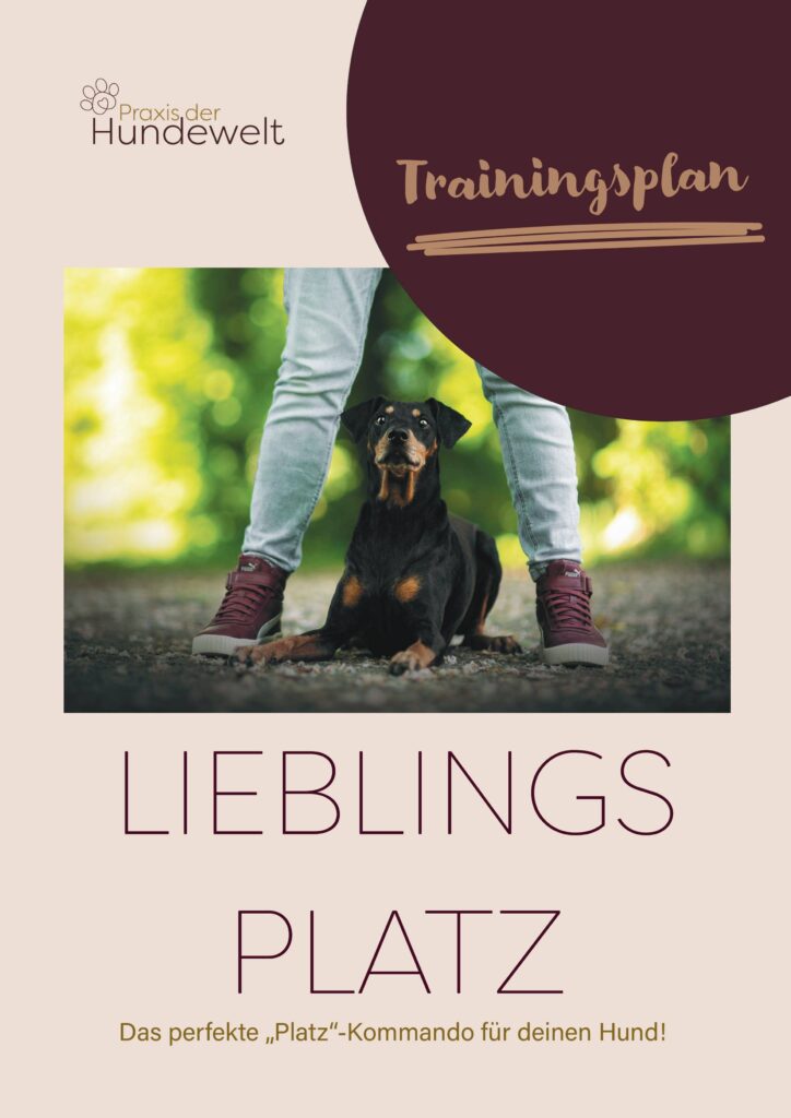 Buch_Lieblings_Platz-bilder-0