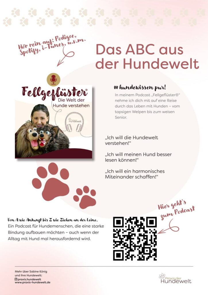 Flyer Podcast-1