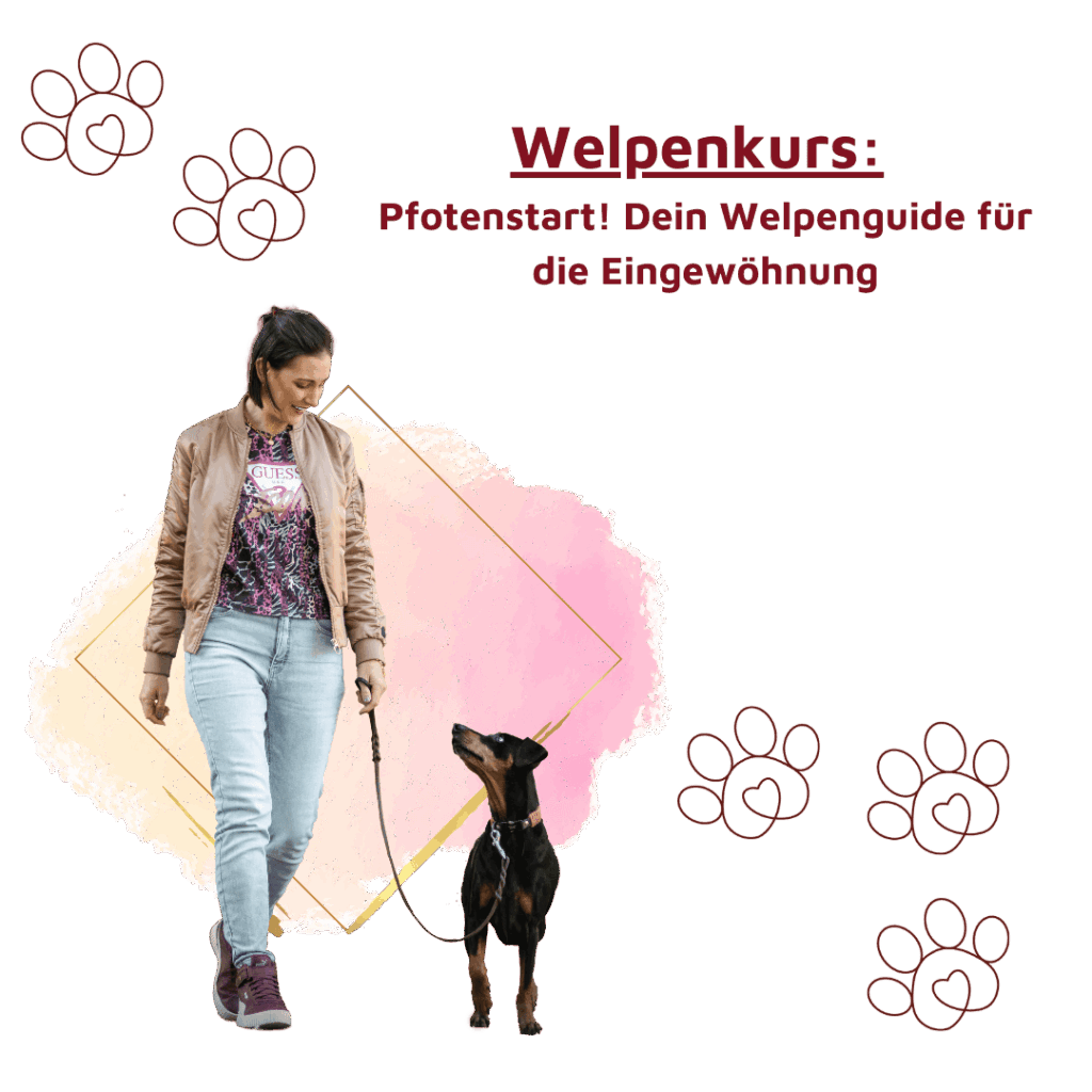 welpenkurs-cover