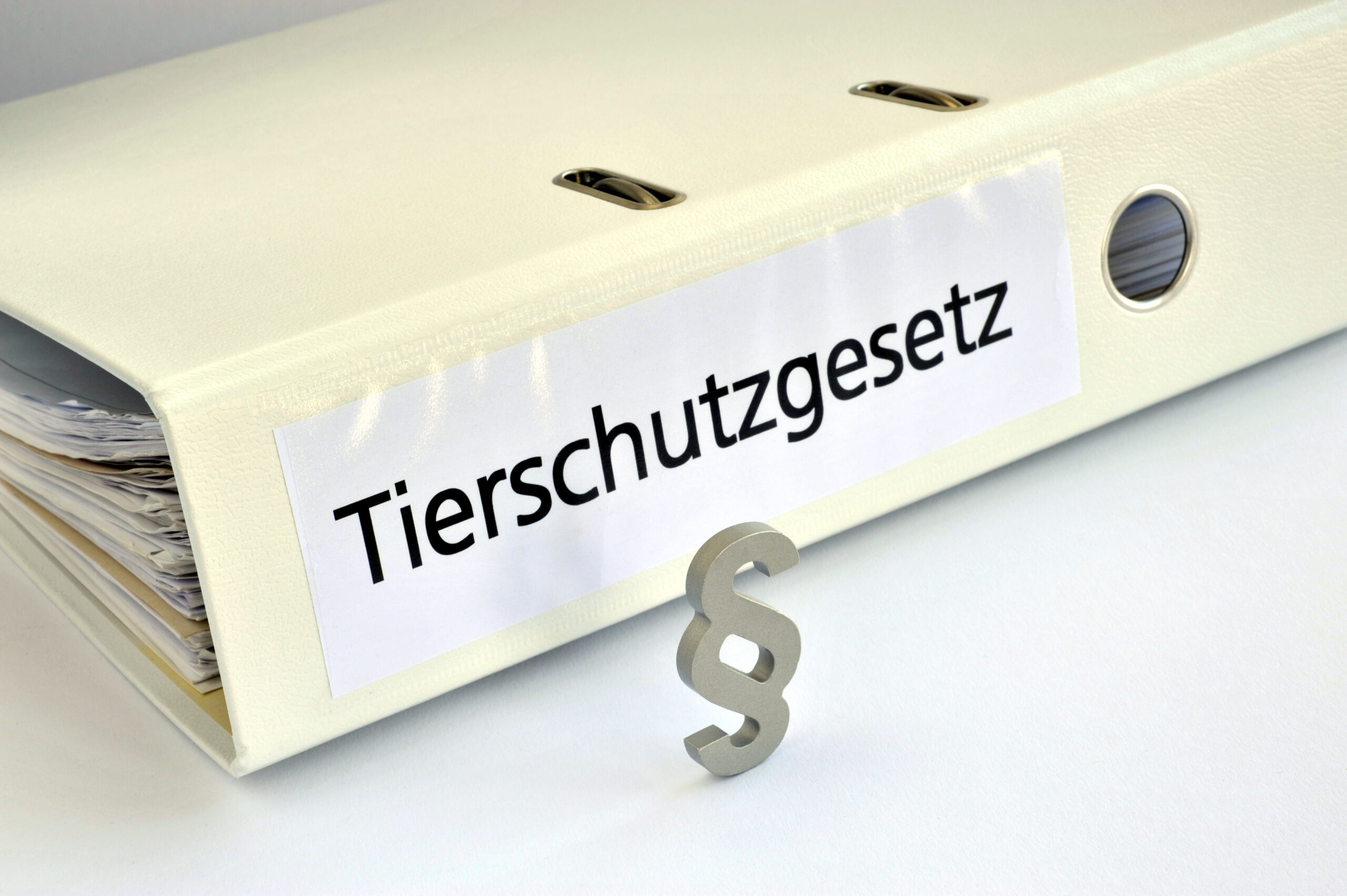 Tierschutzgesetz, TierSchG, Tierschutz, Paragraph, Recht, Gesetz, Ordner, Massentierhaltung, Tierversuche, Tierhaltung, Schlachtung, Nutztiere, Züchtung, Ethik, Landwirtschaft