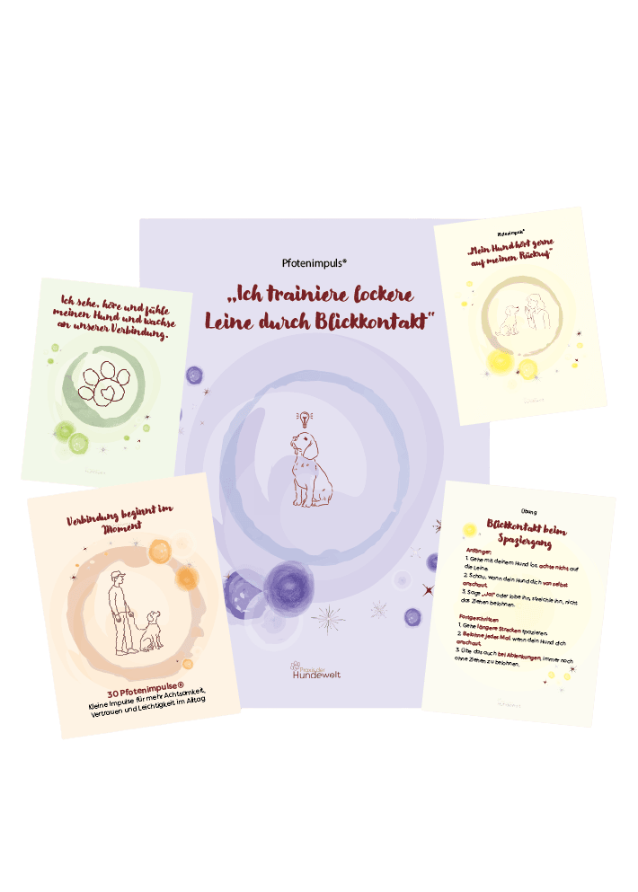 mockup-affirmationskarten