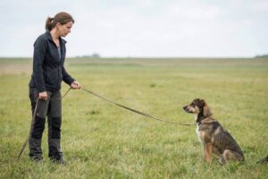 Hund ohne Leine laufen lassen: So überwindest du deine Angst