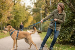 Entdecke die 6-Schritte-Anleitung für entspannte Runden voller Vertrauen und Fokus. Jetzt gemeinsam euren Weg finden!