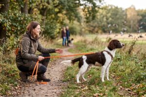 Dein Hund hört plötzlich nicht mehr? Erfahre, wie du die Flegelphase deines Hundes empathisch meisterst. Tipps für die Junghunderziehung ohne Druck.