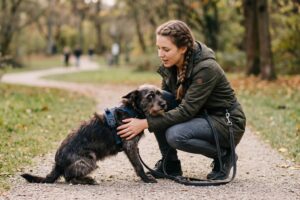 Zeigt dein Hund oft Panik? Erfahre, wie du deinem Angsthund im Alltag Sicherheit gibst, Stresssignale richtig deutest und Vertrauen aufbaust.